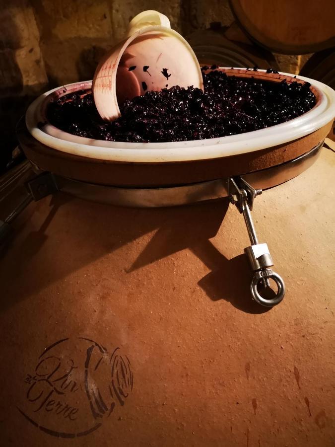 Chateau Cantelaube Saint-Émilion Eksteriør billede