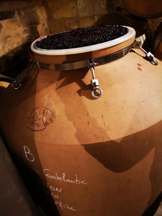Chateau Cantelaube Saint-Émilion Eksteriør billede