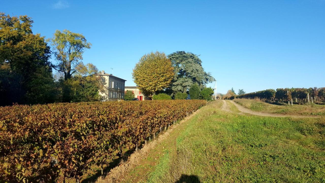Chateau Cantelaube Saint-Émilion Eksteriør billede